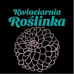 Kwiaciarnia Roślinka, Szczecin godziny otwarcia
