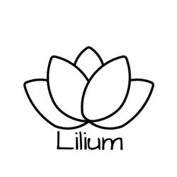 Lilium Poradnia Psychoterapii i Diagnozy Psychologicznej, Katowice godziny otwarcia