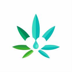 Sklep CBD Realcannabis Kraków- Cannabis Shop, godziny otwarcia
