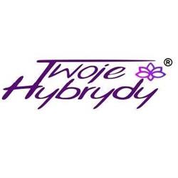 Twoje Hybrydy, Sosnowiec godziny otwarcia