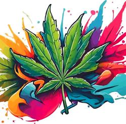 Polska Dyspenseria CBD Lublin, godziny otwarcia