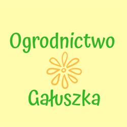 Ogrodnictwo Gałuszka, Mikołów godziny otwarcia