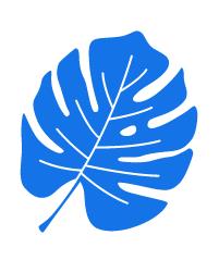 Tapetownia.com, Wieluń godziny otwarcia