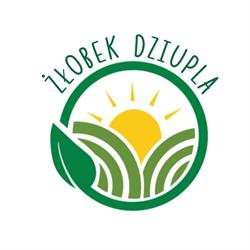 Żłobek Dziupla, Racibórz godziny otwarcia