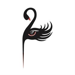 Black Swan Salon Kosmetyczny, Ruda Śląska godziny otwarcia