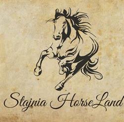 Stajnia HorseLand, Sulimierz godziny otwarcia