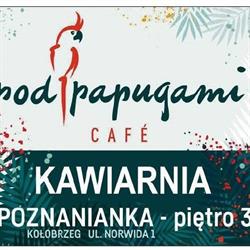 Pod Papugami, Kołobrzeg godziny otwarcia