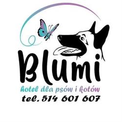 BLUMI Hotel dla psów i kotów. Profesjonalne szkolenie psów., Warta godziny otwarcia