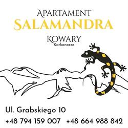 Apartament Salamandra w Kowarach, Kowary godziny otwarcia