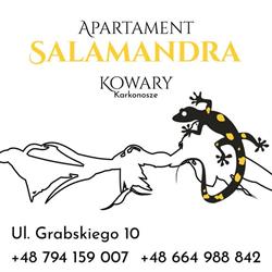 Apartament Salamandra w Kowarach, Kowary godziny otwarcia