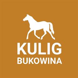 Kuligi Bukowina Tatrzańska - Andrzej Mąka, godziny otwarcia