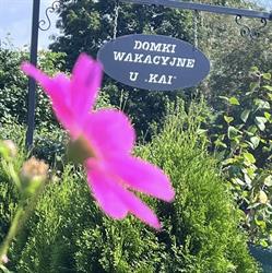 Domki wakacyjne "u Kai" w Stegnie, Stegna godziny otwarcia