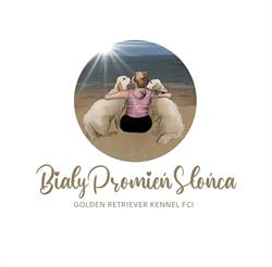 Biały Promień Słońca ZKwP FCI hodowla Golden Retriever, Żyrardów godziny otwarcia