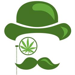 Dr Ziółko - Cannabis Shop Cracow, Kraków godziny otwarcia