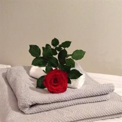 Apartament Kiza, Kielce godziny otwarcia