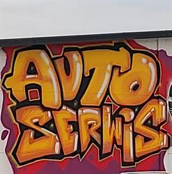 Auto Serwis Dobczyn, godziny otwarcia