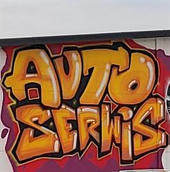 Auto Serwis Dobczyn, godziny otwarcia