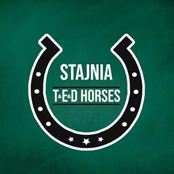 TED Horses, Czeczewo godziny otwarcia