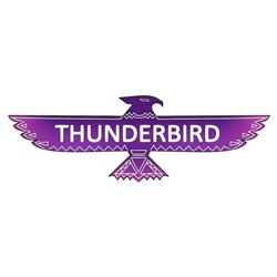THUNDERBIRD - Burgerownia UFO, Poznań godziny otwarcia
