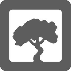 ekoartprojekt - projektowanie i zakładanie ogrodów Kraków, godziny otwarcia