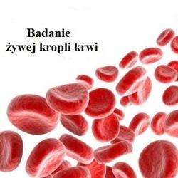 Badanie żywej kropli krwi, Szczecin godziny otwarcia