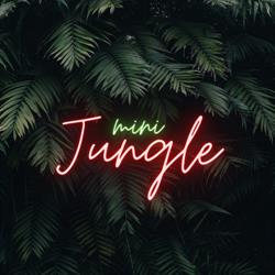 Mini Jungle, Malbork godziny otwarcia