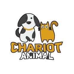 Animal Chariot, Sztum godziny otwarcia
