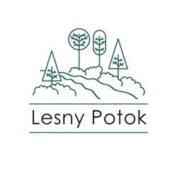 przedszkole leśny potok, Katowice godziny otwarcia