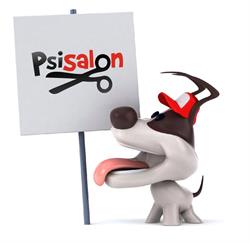 Psi Salon, Ciechanów godziny otwarcia