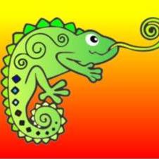 Cameleon odzież używana Myślenice, godziny otwarcia