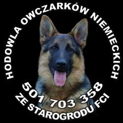 Hodowla owczarków niemieckich ze Starogrodu FCI, Starogard Gdański godziny otwarcia