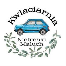 Kwiaciarnia "Niebieski Maluch", Wrocław godziny otwarcia