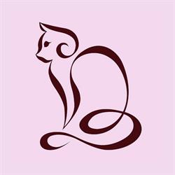 Lady Kitty - Studio Kosmetologii i Masażu, Kraków godziny otwarcia