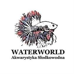 Waterworld akwarystyka słodkowodna, Krosno godziny otwarcia