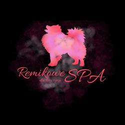Remikowe Spa dla kota i psa, Piaseczno godziny otwarcia