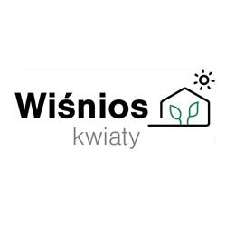 WIŚNIOS Kwiaty, Mirzec godziny otwarcia