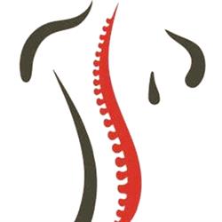 Terapia Manualna Fizjoterapia Osteopatia "Między Kręgami" dr n. kf. Maciej Olesiejuk, Biała Podlaska godziny otwarcia