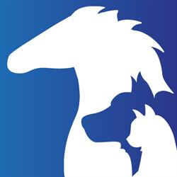 Pet Wellness Place - fryzjer psów i kotów, behawiorysta., Sosnowiec godziny otwarcia