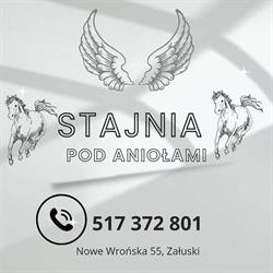 Stajnia Pod Aniołami, Załuski godziny otwarcia