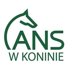 Akademia Nauk Stosowanych w Koninie, godziny otwarcia