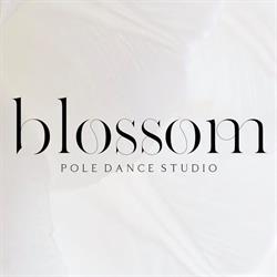 Blossom Pole Dance Studio, Sosnowiec godziny otwarcia