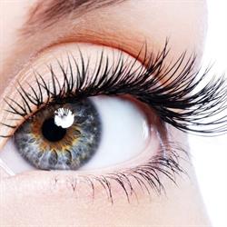 Siva Lashes & Make up, Piła godziny otwarcia