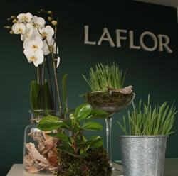 La Flor. Kwiaciarnia, Zelów godziny otwarcia