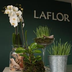 La Flor. Kwiaciarnia, Zelów godziny otwarcia