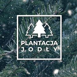 Sprzedaż choinek - plantacjajodly.pl, Przemyśl godziny otwarcia