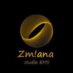 Studio Zmiana. Studio Treningu EMS, Żory godziny otwarcia