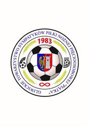 GTSPNP, Gliwice godziny otwarcia