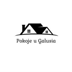 Pokoje gościnne u Galusia, Krynica-Zdrój godziny otwarcia