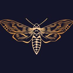 GOLDEN MOTH, Sopot godziny otwarcia