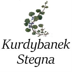 Kurdybanek Stegna Domki letniskowe, godziny otwarcia